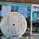 장성금생초국밥 이미지