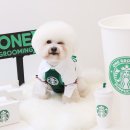 그루밍051 이미지