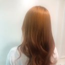비브라운헤어 네이버블로그