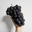 무지개빛농장 이미지