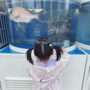 의정부우리소극장 이미지