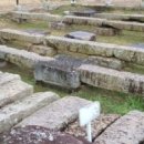 나는 신라의 왕 이미지