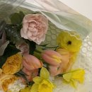 라메르블룸