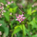 당두경로당 이미지