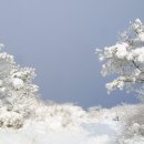 2월 2일 (수)[ 07:00 출발] 전남 광주 국립공원 무등산(해발1,187m) 새인봉 눈꽃산행 이미지