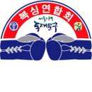 엑투 복싱 Daum카페