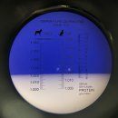 앨리스동물병원 이미지