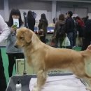 우리낚시
