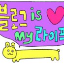 체험 주식회사
