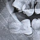 줌 구강악안면외과치과의원 이미지