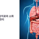 국수나무(길음점) | 대장암 항암치료 중 소화불량과 설사 완화를 위한 식단 관리 팁