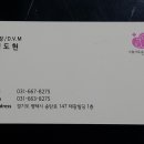 사랑동물병원 이미지