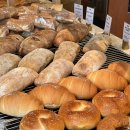 노베이커노베이커스 이미지