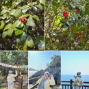 드래곤수 더 여수 | [여수 여행코스] 데이트로 제격인 야경 &amp; 불꽃놀이&amp; 크루즈 '드래곤수팩토리'