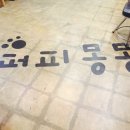 퍼피몽몽 네이버블로그