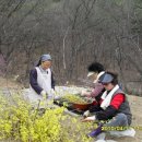 로사의집 이미지