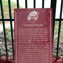 올드델리 이미지