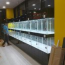 내강아지&내야옹이 이미지