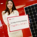 세기 태양광발전소 이미지