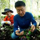 슬기농장 2 이미지