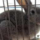 우리집농장 이미지