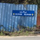 도암길 | 🎨세종시 [시선293] 고흐의 방에서 빵지순례? 대형 갤러리 베이커리 카페! 🥐