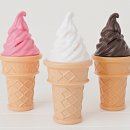 레오소프트 이미지