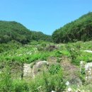 이산농장 이미지