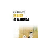 서평이벤트-반려견 홈트레이닝(올바른 홈트레이닝과 재활) -&gt; 집에서 보고 따라할 수 있는 내 강아지를...