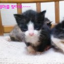 개금3동-3 이미지