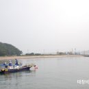 장고도8 이미지