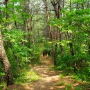 홍지마을회관 이미지