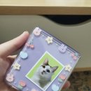 댕댕이냥 이미지