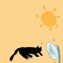 왓쇼이짱 이미지