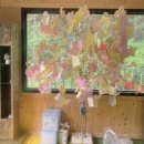 경북반려동물장례식장 이미지