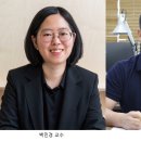 영백개발 이미지