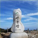 ♣12/15~16(금/토)영남알프스 8봉인증 만추산행 이미지