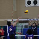 스마일팡팡 이미지