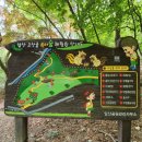 앞산고산골 유아숲체험원 이미지