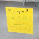 인제로262 이미지