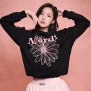 몽플리쎄