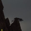 ER-10[남해고속도로]-하-1456 | 월출산 산행 후기