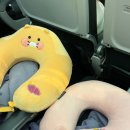 스위트가이즈