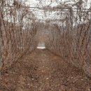 가락골 농장 이미지