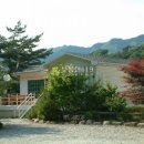 김삿갓면-32 Daum카페