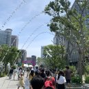 세종 효 태권도 | 2023 서울세계도시문화축제 전통의상체험,세계음식체험 등