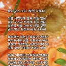 O som da primavera chegando. 봄이 오는 소리 (성천 김성수) Happy birthday 기쁨을 함께 나누는 !! 이미지