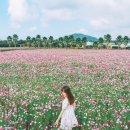 서부농업기술센터 이미지