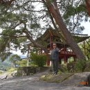 태영민속박물관 이미지