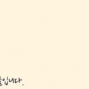 강남 요미독앤캣 강아지 분양 고양이 분양 이미지